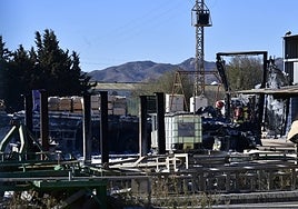 Los bomberos durante la extinción del incendio en La Aljorra.