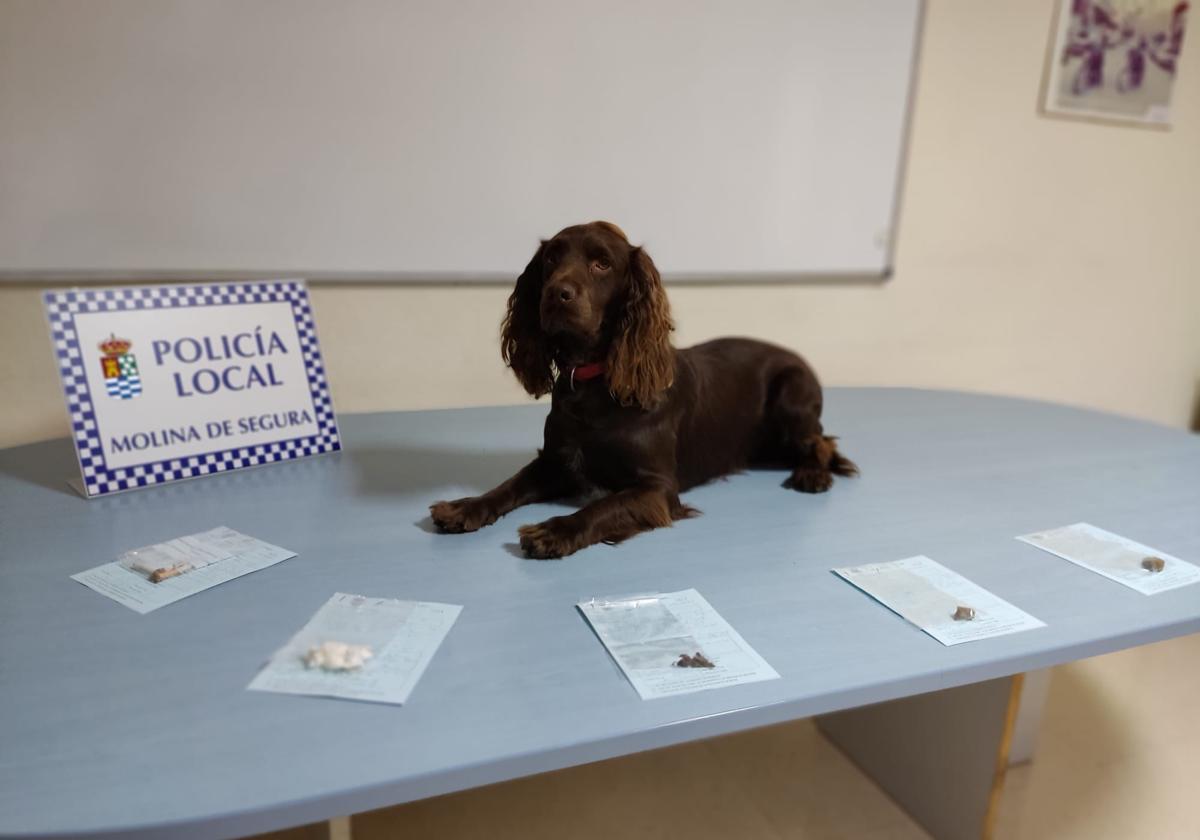 Uno de los integrantes de la unidad canina de Molina, junto a algunas sustancias intervenidas.