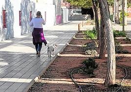 Una mujer pasea a un perro por un parque, en una imagen de archivo.