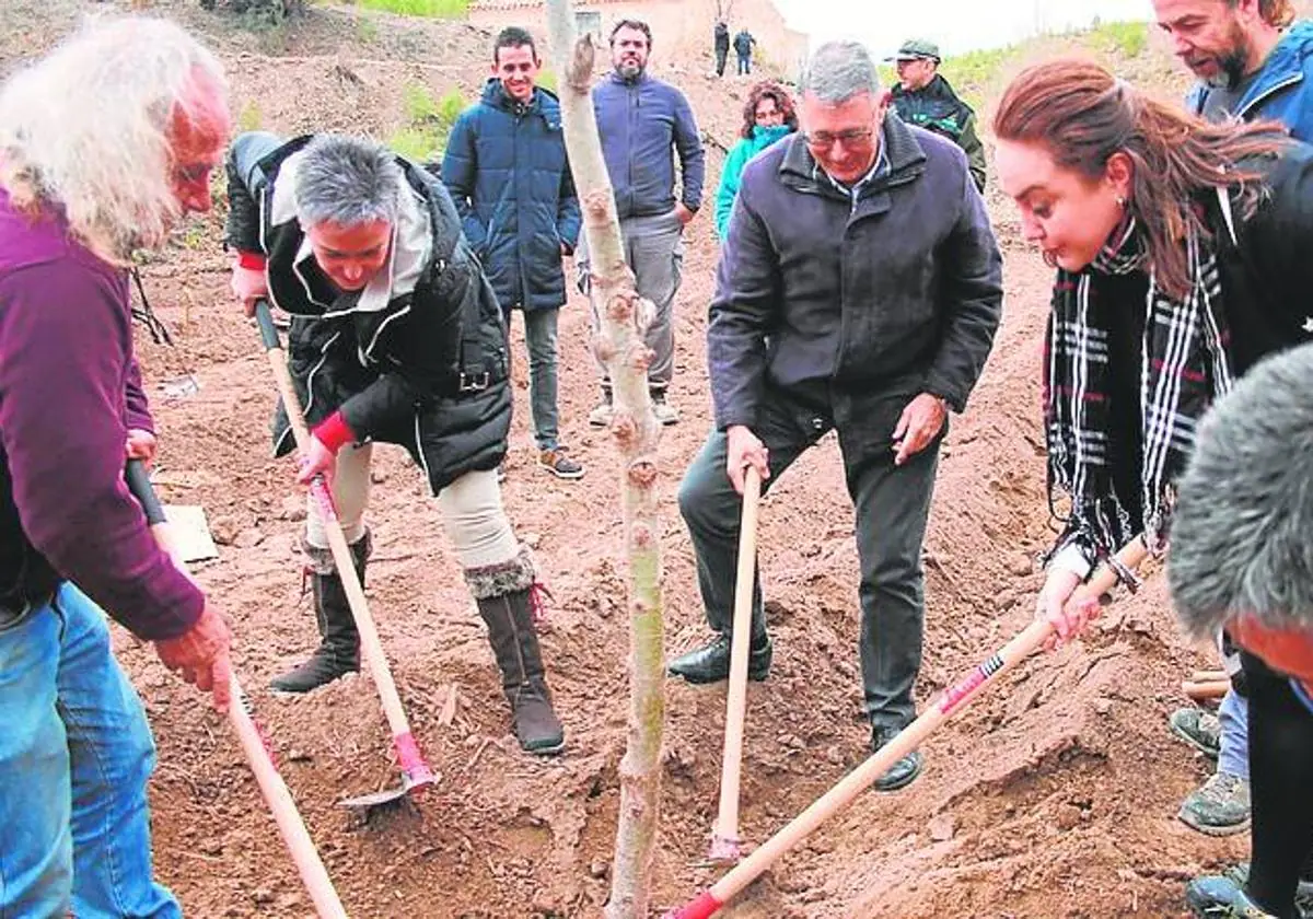 The recovery of the riparian forest in Calasparra advances with the planting of 3,500 trees and shrubs