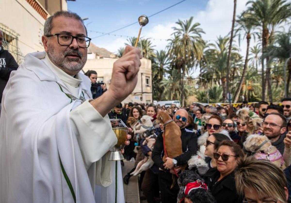 Las imágenes del día de San Antón en Orihuela