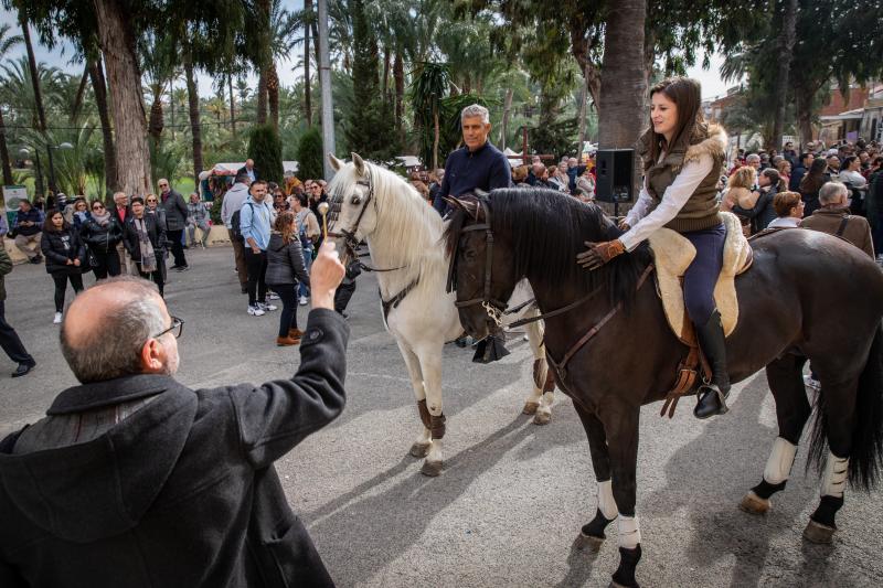 Las imágenes del día de San Antón en Orihuela