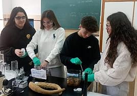 Los alumnos, en el laboratorio del ColegioCarmelitas.