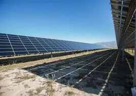 Paneles solares en una planta fotovoltaica.