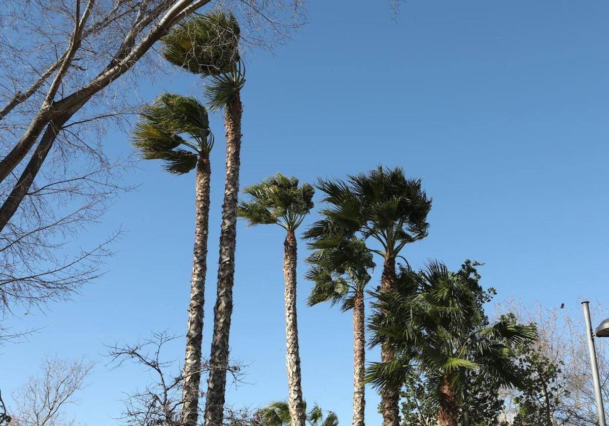 La aemet desactiva el aviso amarillo por viento en el noroeste pero advierte de las lluvias de este viernes | la verdad