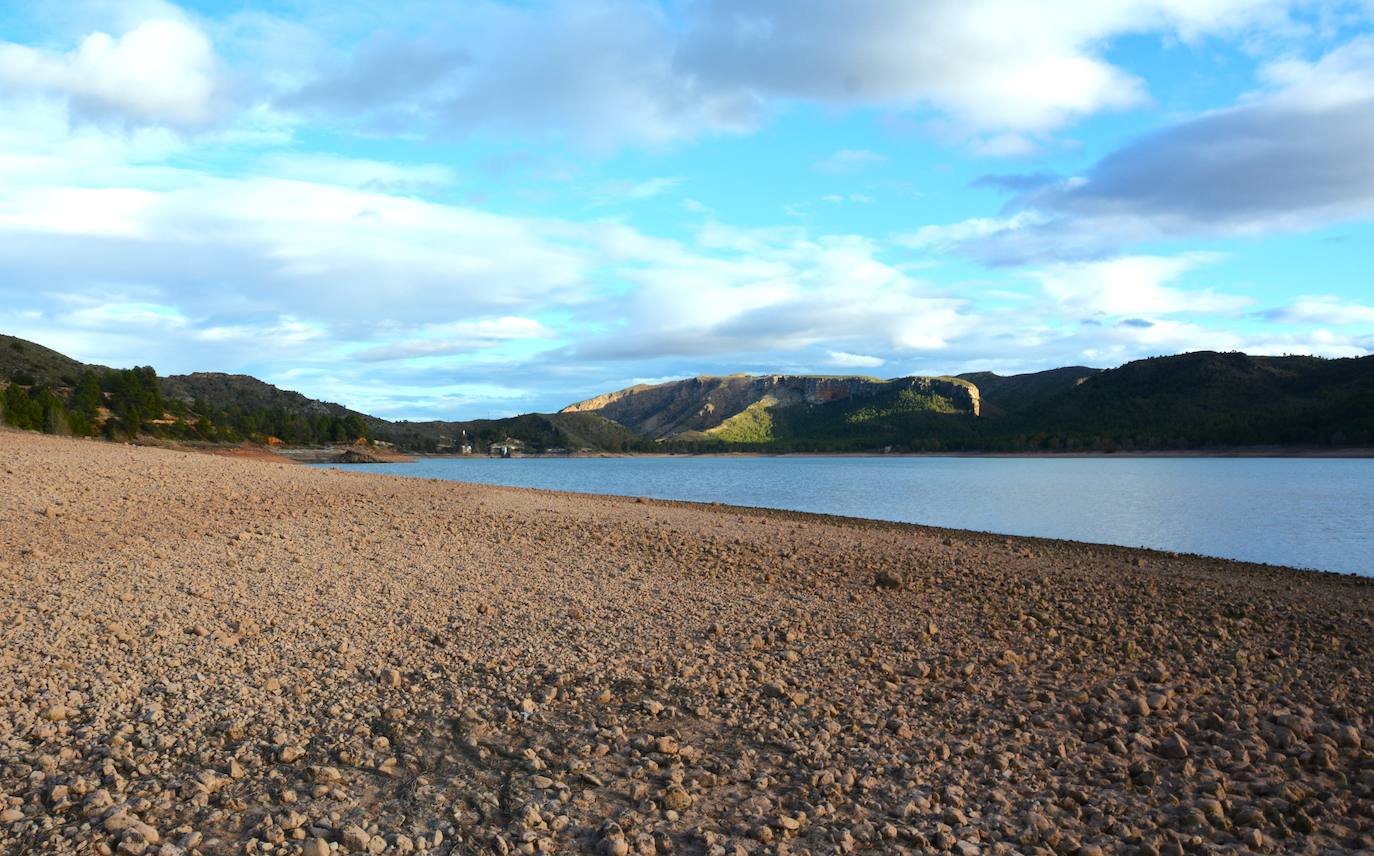 La plaga de mejillón cebra llega a los embalses del río Mundo, en imágenes