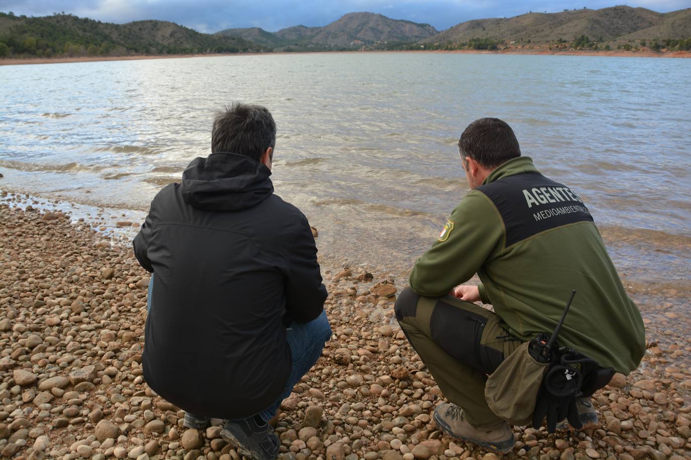 La plaga de mejillón cebra llega a los embalses del río Mundo, en imágenes