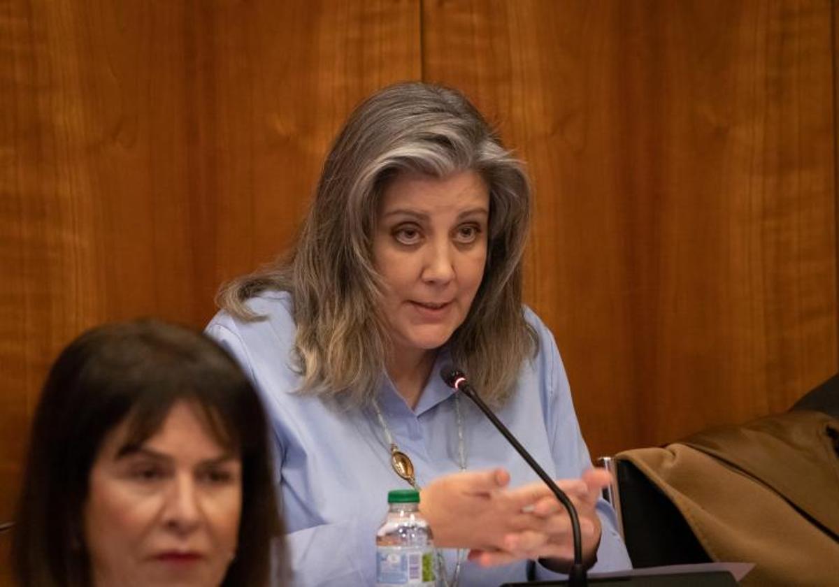 La concejal de Familia, Carmen Portugal, interviene en el pleno de este jueves.