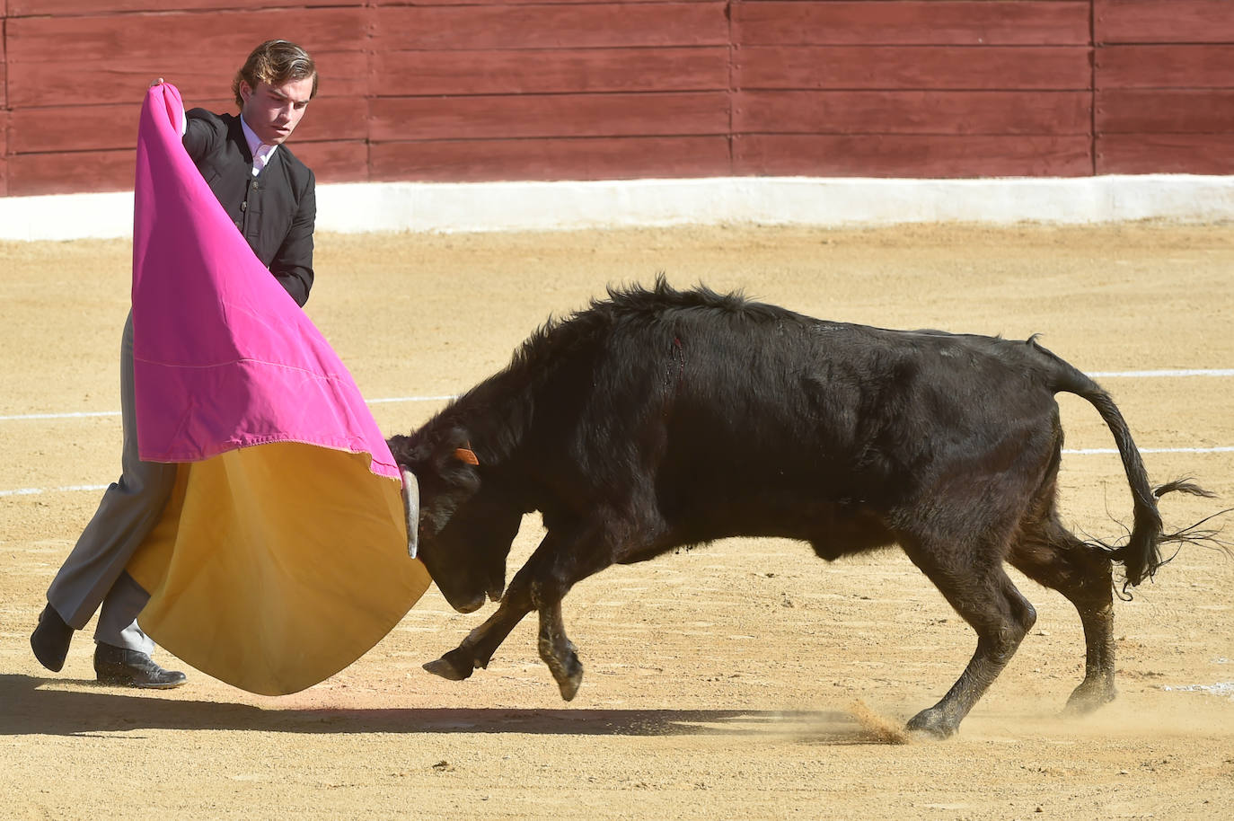 Tentadero benéfico de Ortega Cano en Torre Pacheco
