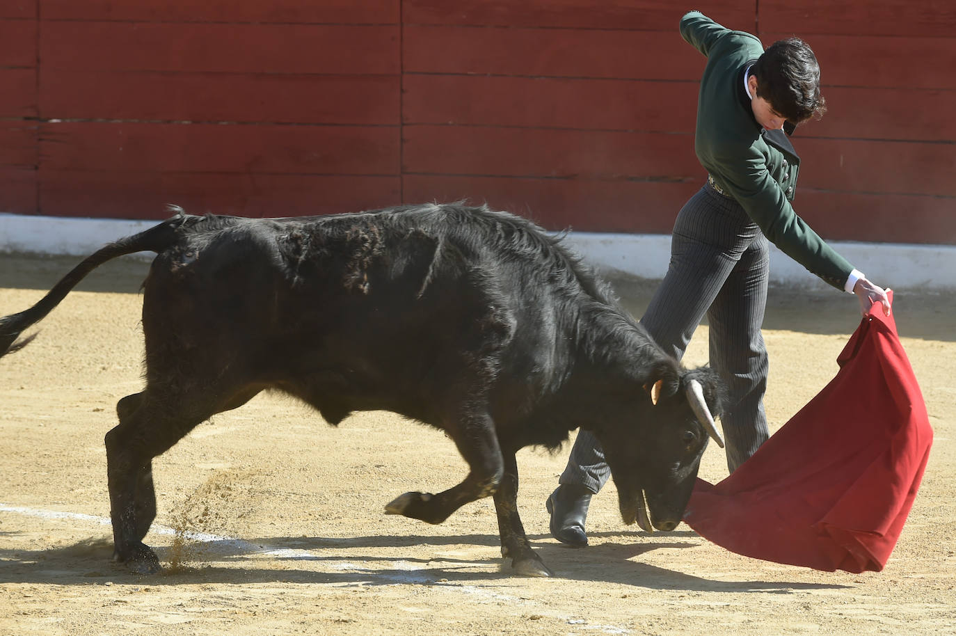 Tentadero benéfico de Ortega Cano en Torre Pacheco
