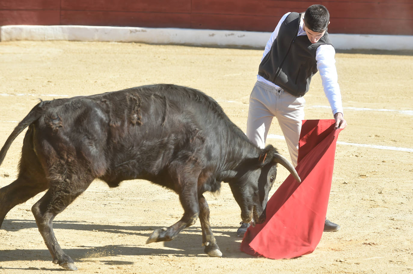 Tentadero benéfico de Ortega Cano en Torre Pacheco