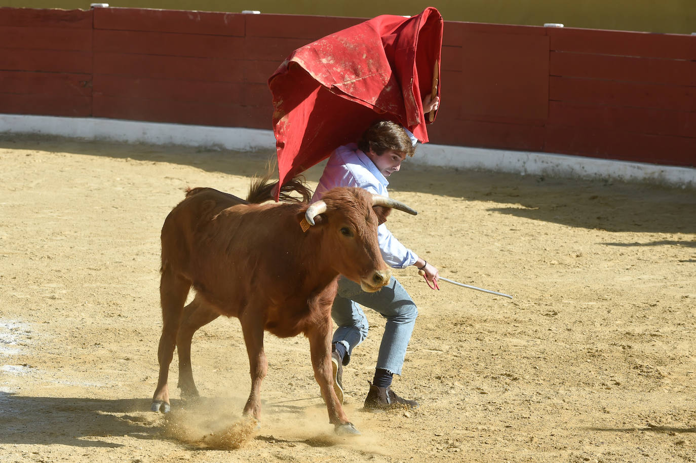 Tentadero benéfico de Ortega Cano en Torre Pacheco