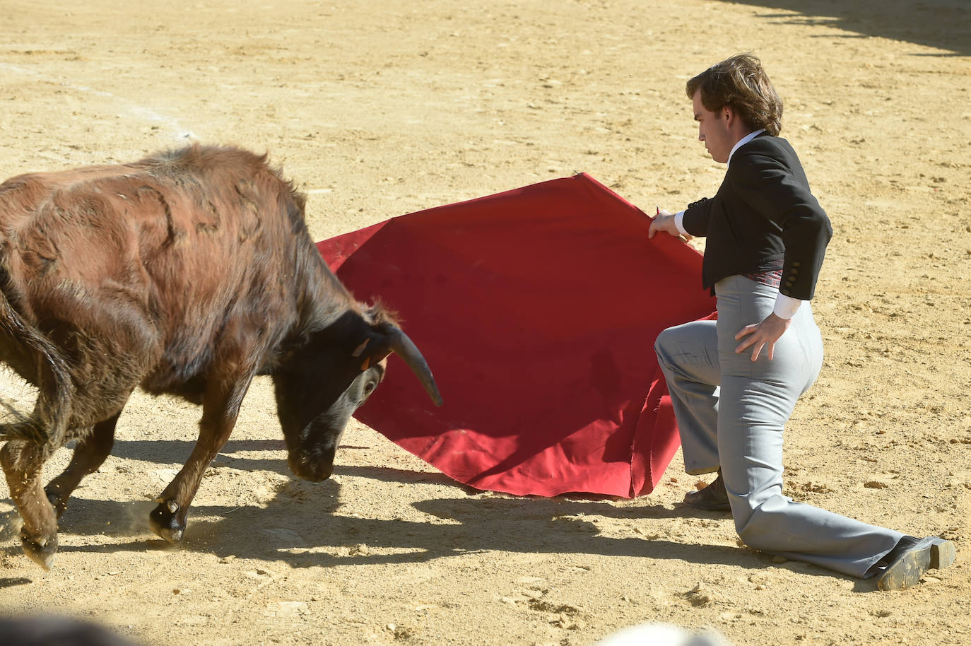 Tentadero benéfico de Ortega Cano en Torre Pacheco
