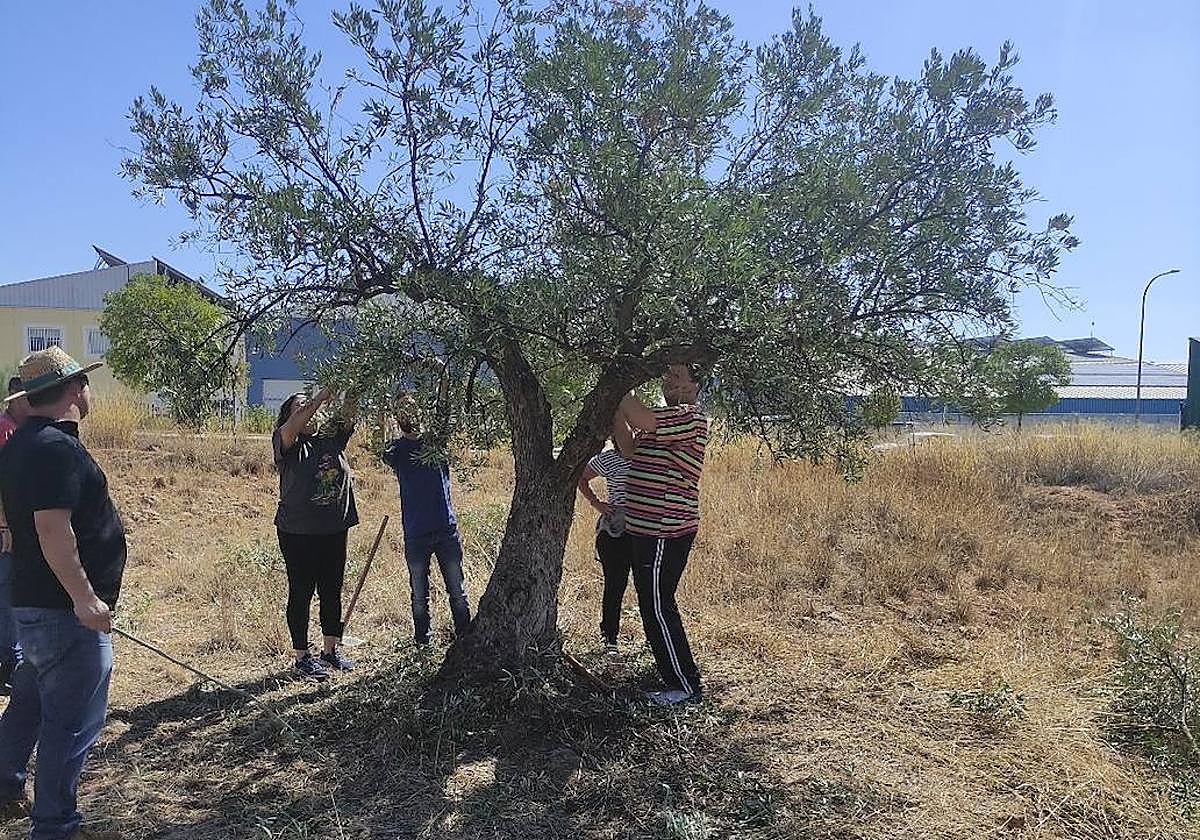 Guillermo José Ramírez es un valioso referente en formación agrícola.
