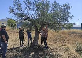 Guillermo José Ramírez es un valioso referente en formación agrícola.