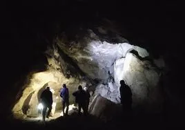 Investigadores inspeccionan el interior de la cueva moratallera, posible hábitat de neandertales.