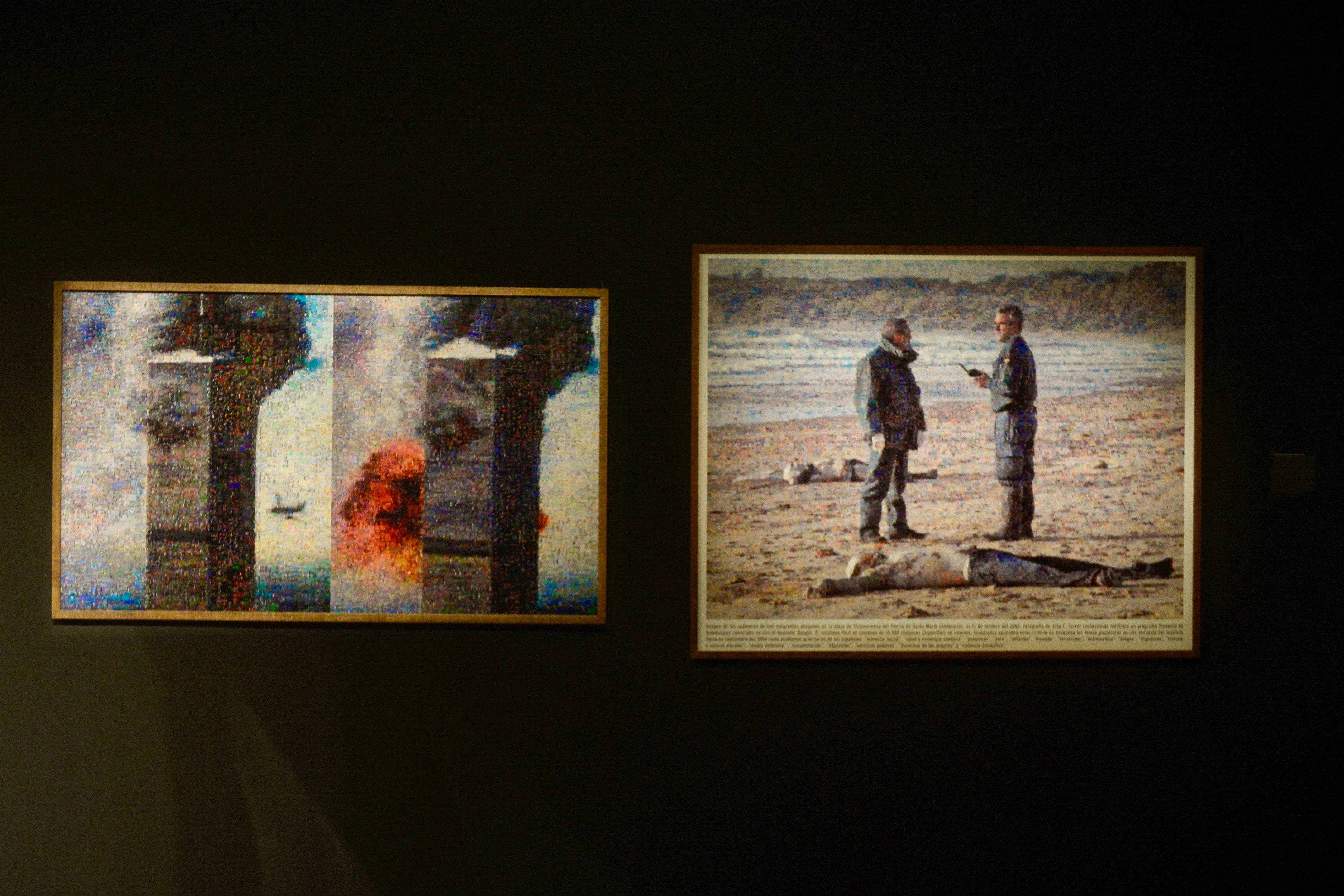 La exposición &#039;Nemotipos&#039; de Joan Fontcuberta, en imágenes