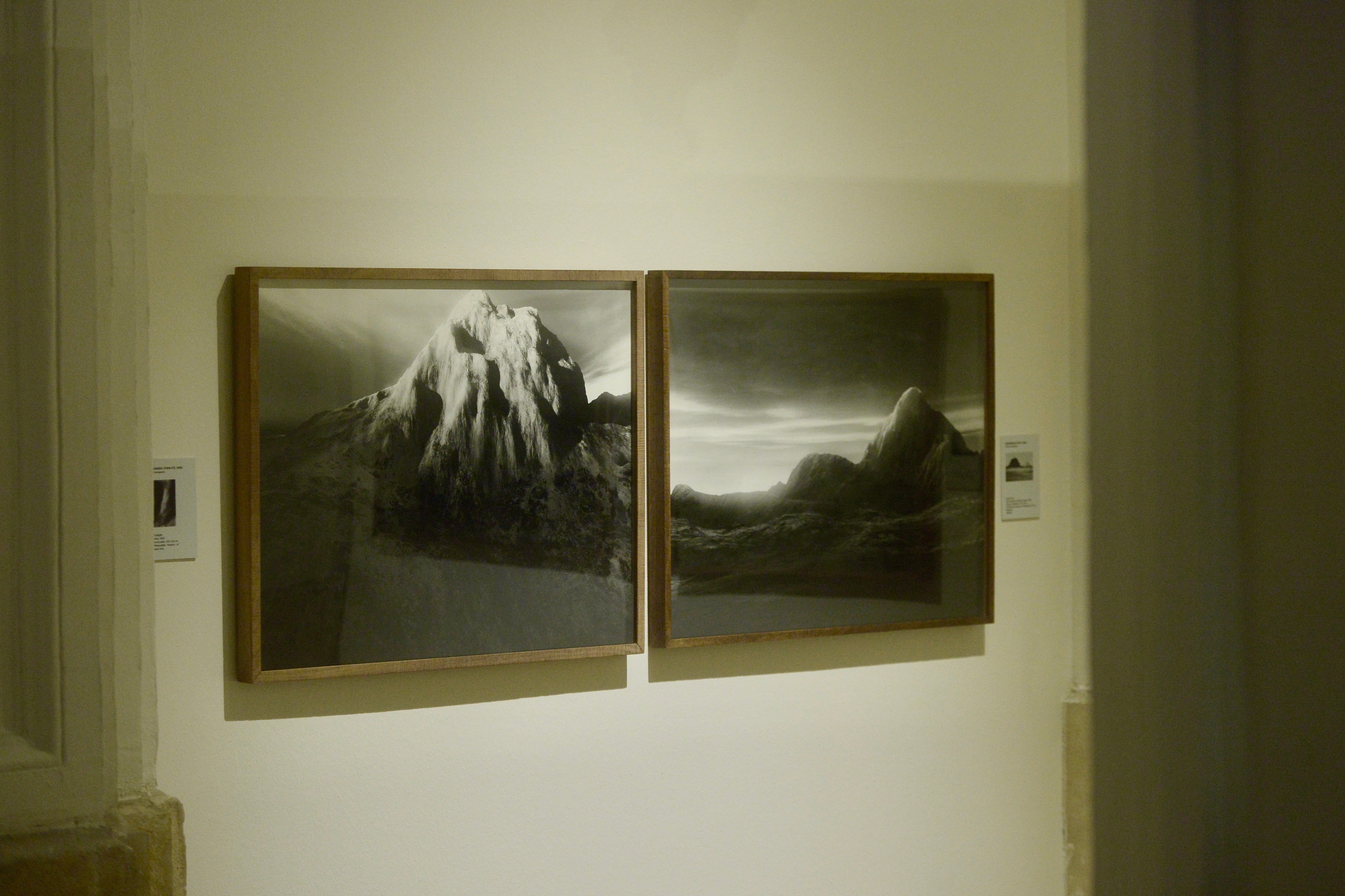 La exposición &#039;Nemotipos&#039; de Joan Fontcuberta, en imágenes