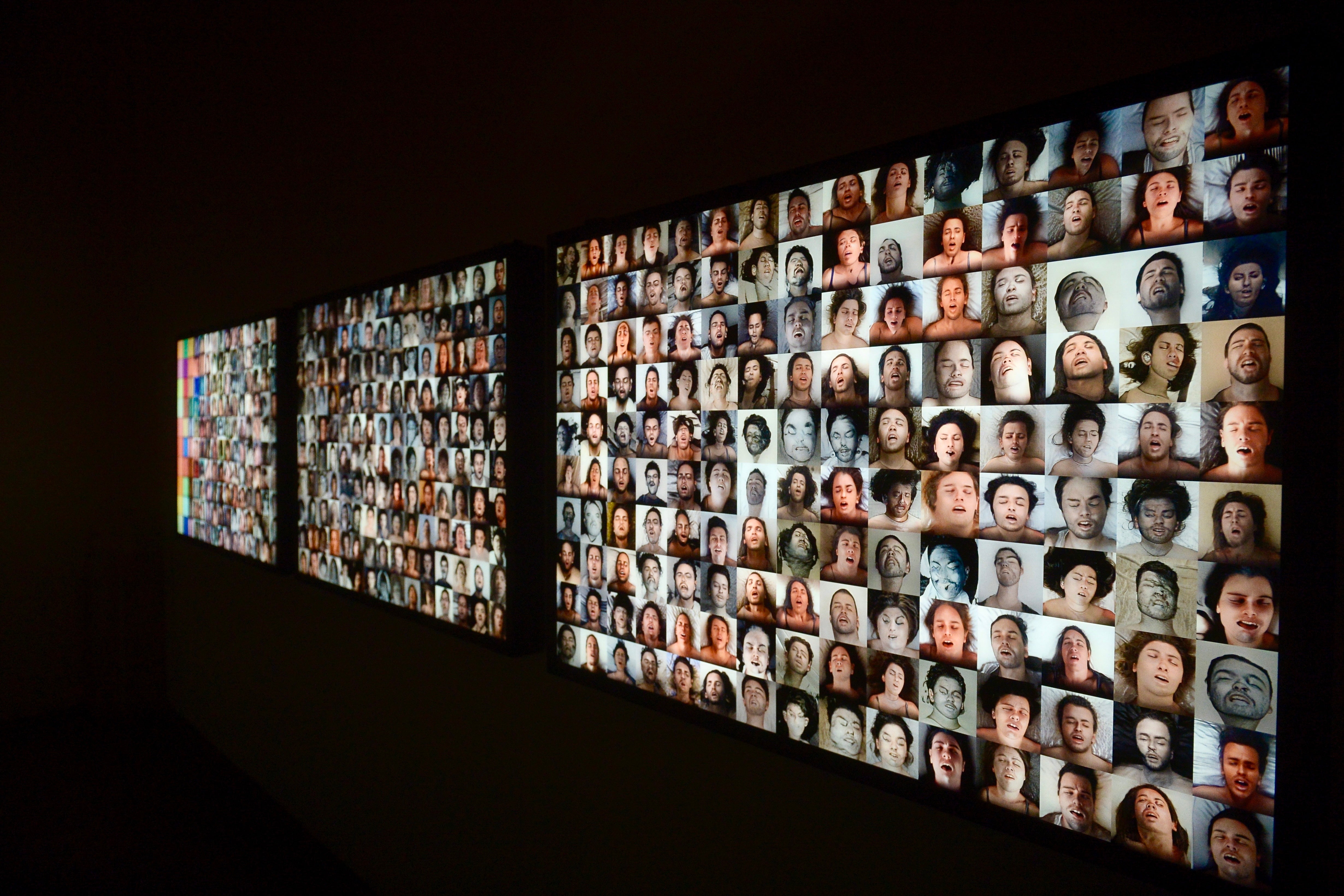 La exposición &#039;Nemotipos&#039; de Joan Fontcuberta, en imágenes