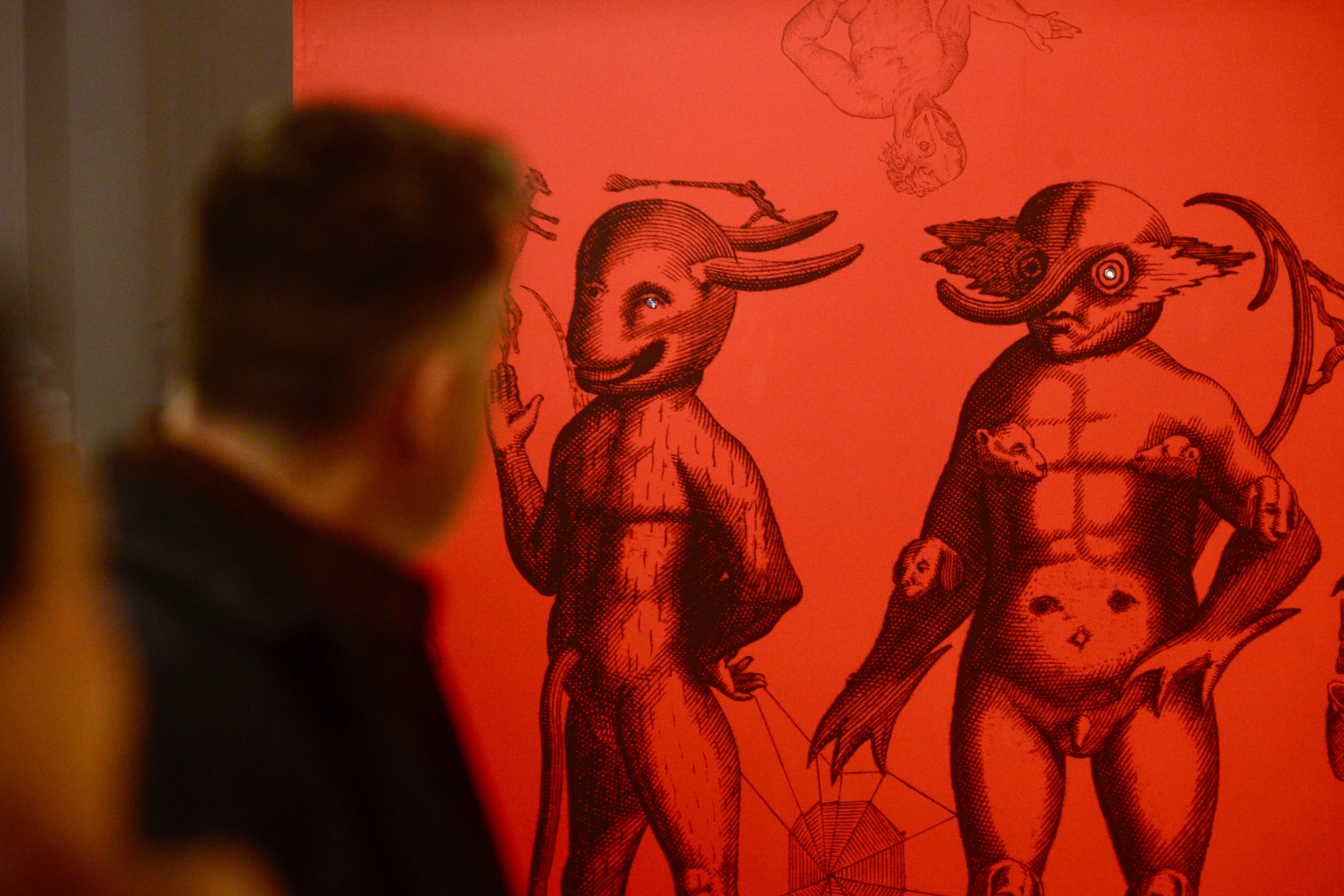 La exposición &#039;Nemotipos&#039; de Joan Fontcuberta, en imágenes