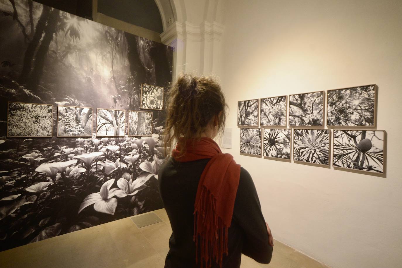 La exposición &#039;Nemotipos&#039; en imágenes