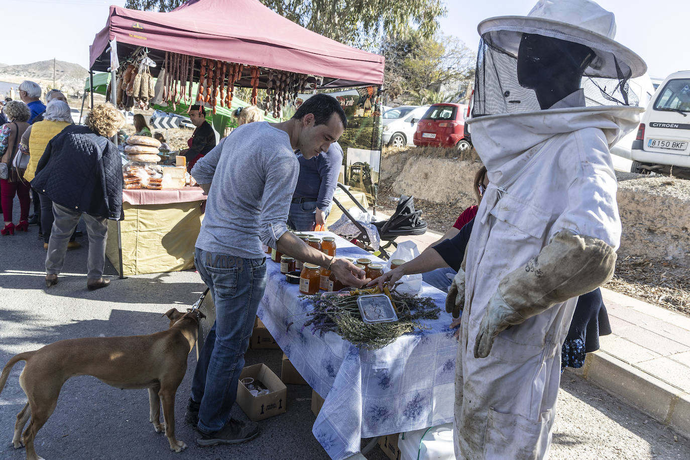 Feria de floración &#039;Cartagena oeste en flor&#039;, en imágenes