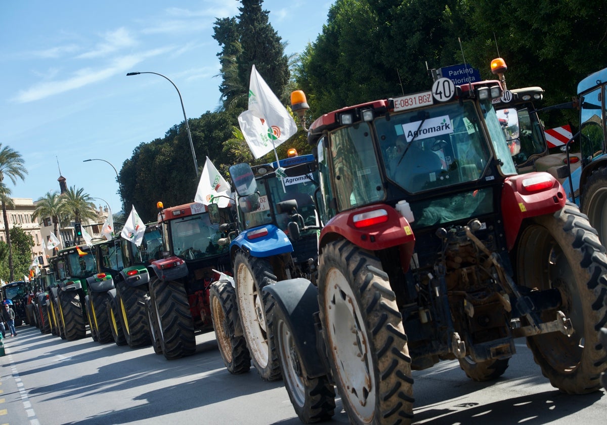 Manifestación de agricultores con tractores y camiones por el centro de Murcia, en 2022.