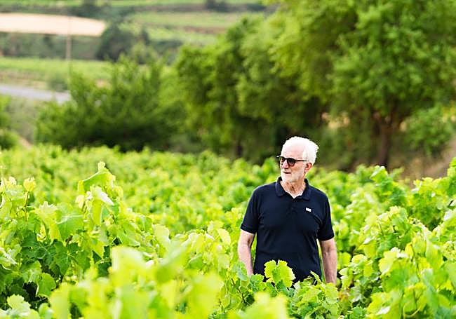 Pedro Martínez, en sus viñas.