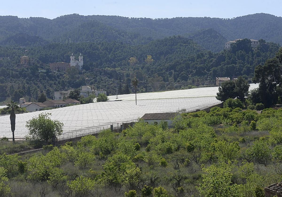 Imagen del Santuario de la Fuensanta tomada desde una de las zonas donde se ubicaría el plan parcial que aprobó el Consistorio.