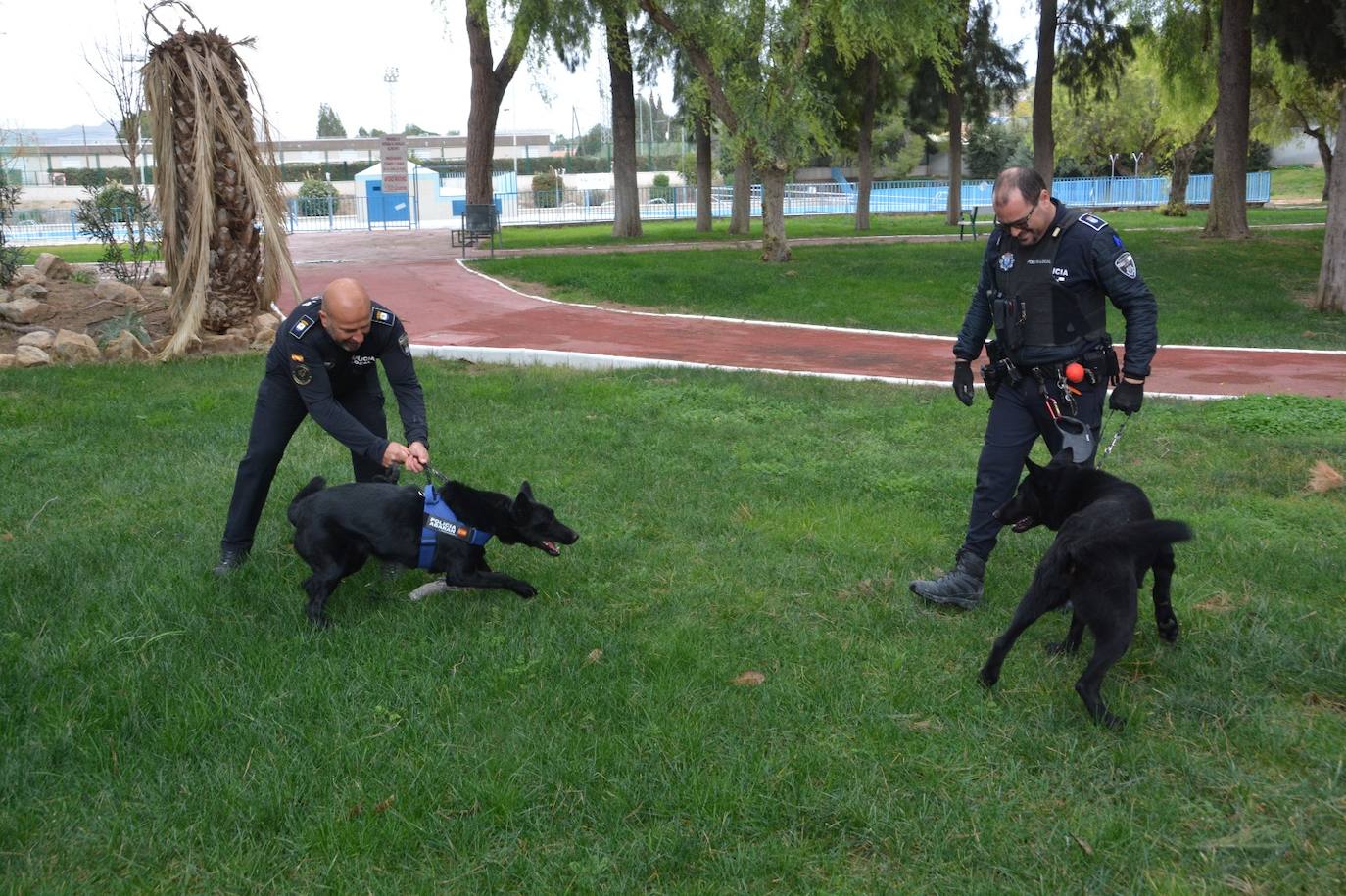 Entrenamiento de las unidades caninas de la Región en Cieza, en imágenes