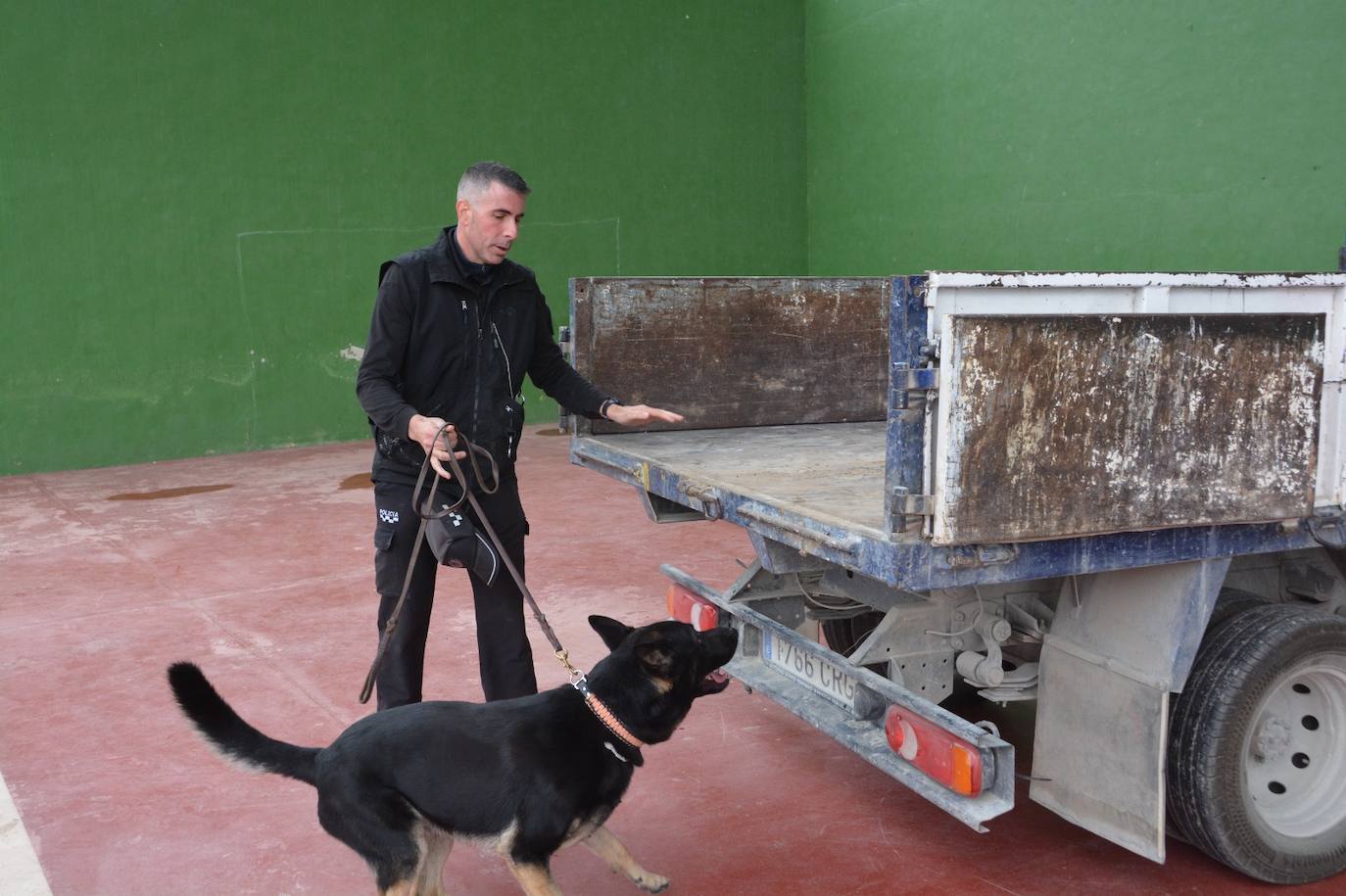 Entrenamiento de las unidades caninas de la Región en Cieza, en imágenes