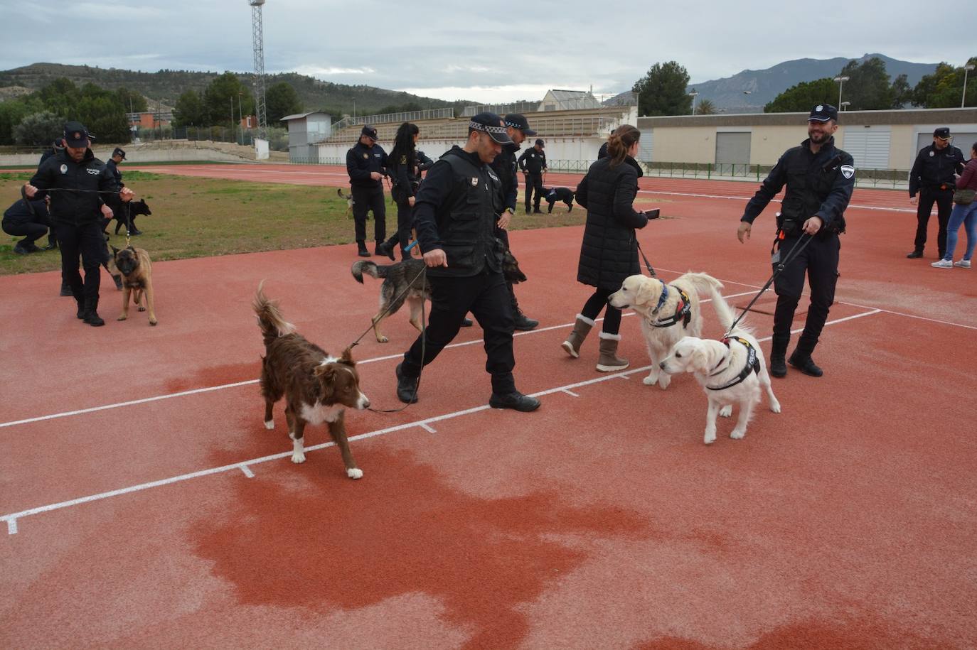 Entrenamiento de las unidades caninas de la Región en Cieza, en imágenes