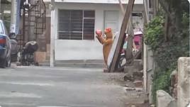 La insólita operación de la policía peruana que se ha vuelto viral.