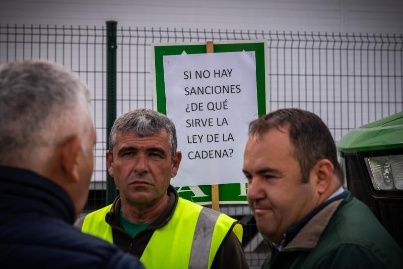 La tractorada de los organizaciones agrarias por la Vega Baja no logra cortar la A-7