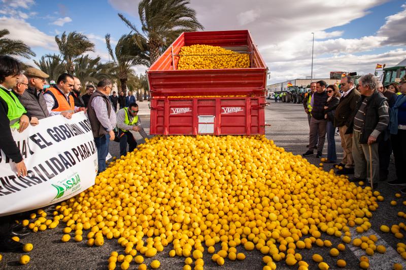 La tractorada de los organizaciones agrarias por la Vega Baja no logra cortar la A-7