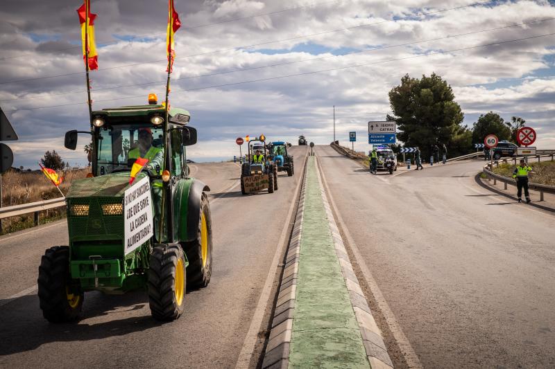 La tractorada de los organizaciones agrarias por la Vega Baja no logra cortar la A-7