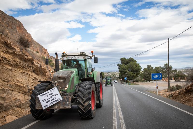 La tractorada de los organizaciones agrarias por la Vega Baja no logra cortar la A-7