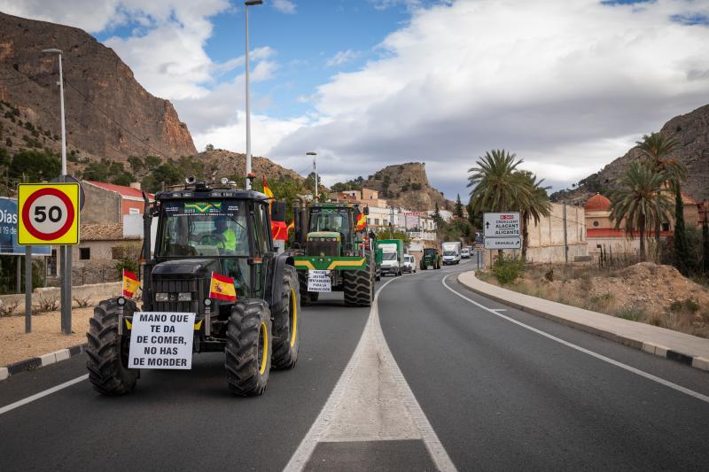 La tractorada de los organizaciones agrarias por la Vega Baja no logra cortar la A-7