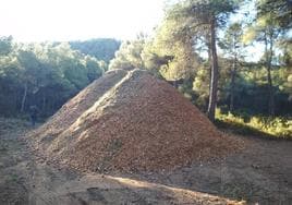 Biomasa obtenida durante un tratamiento silvícola en un monte público de la Región.