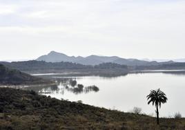 Vista del embalse de Santomera, desde la cola, y del monte Los Ásperos.