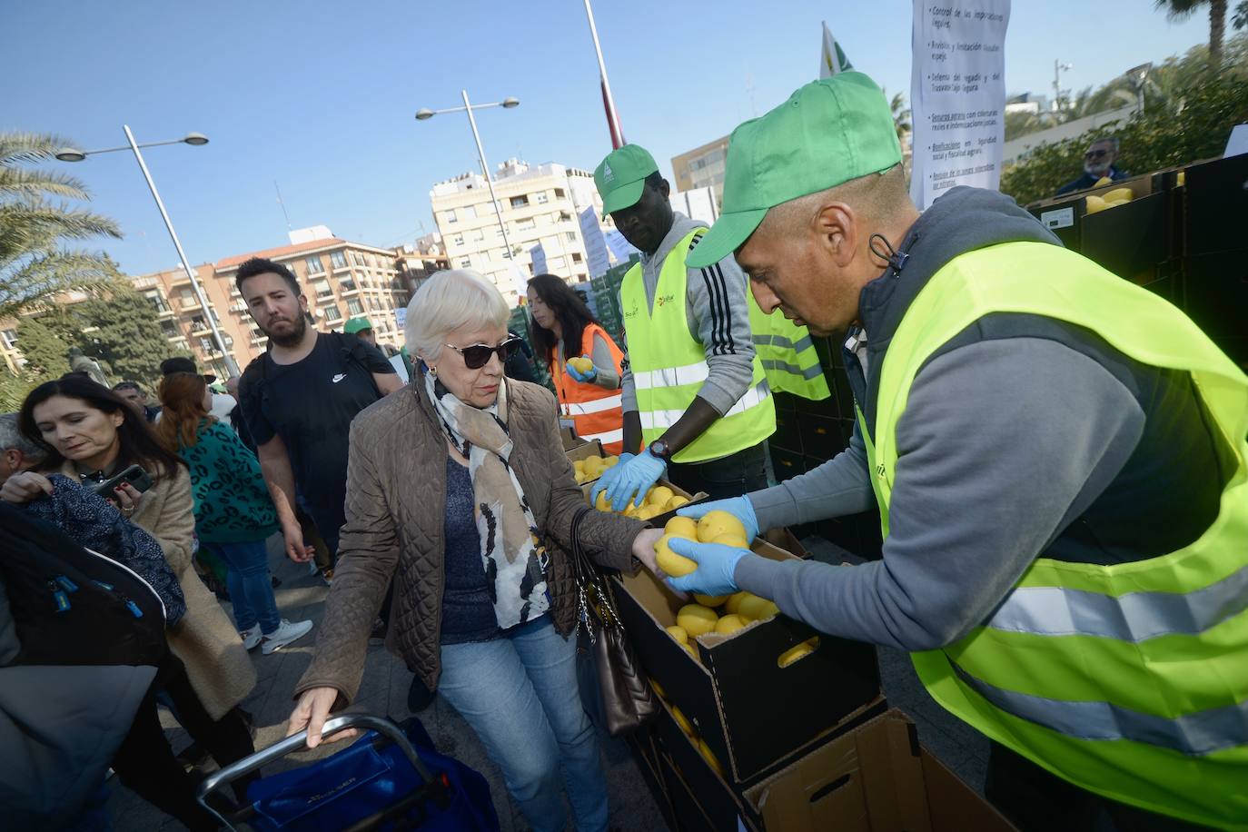 Las protestas de los agricultores llegan a Murcia el 21-F, en imágenes