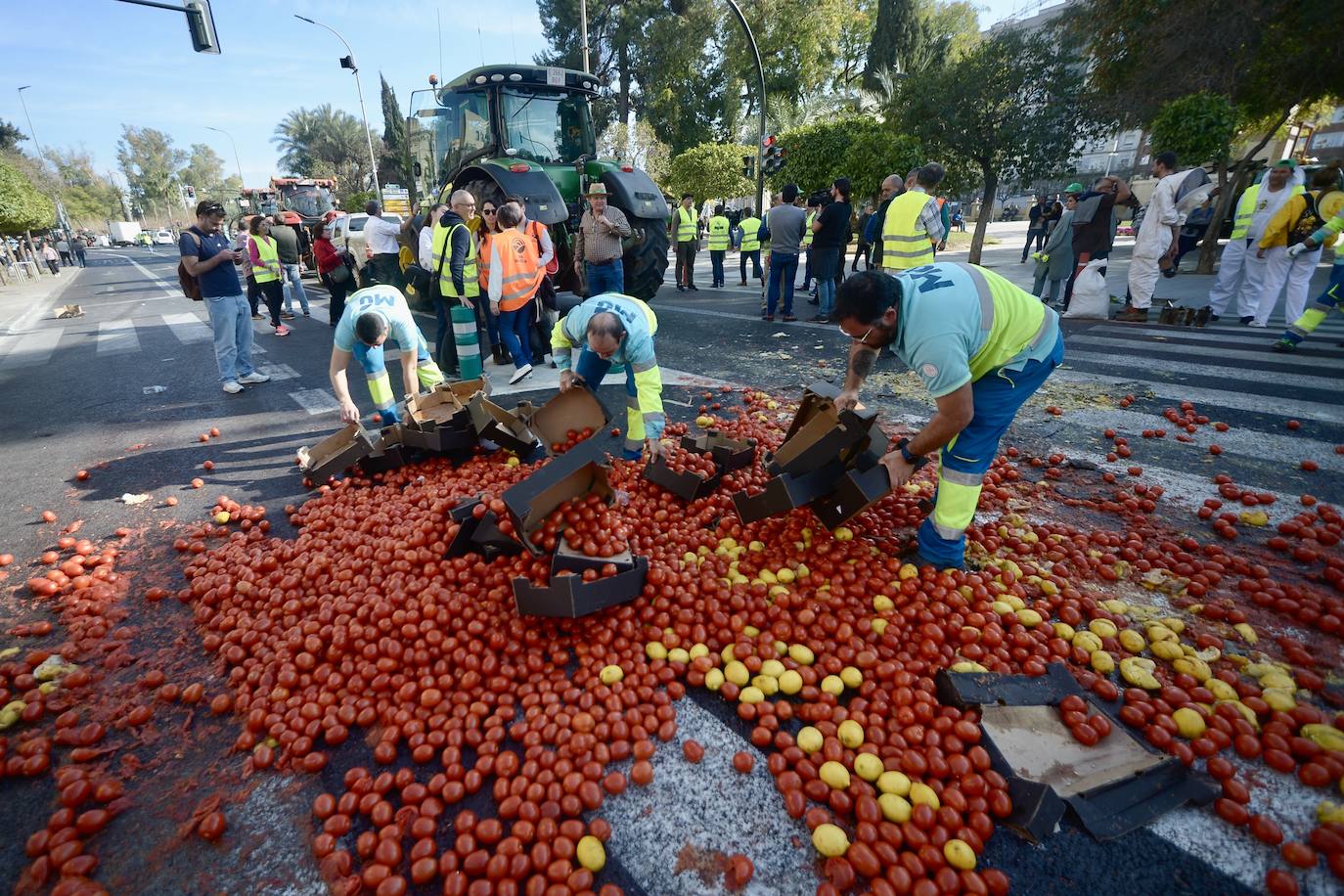 Las protestas de los agricultores llegan a Murcia el 21-F, en imágenes