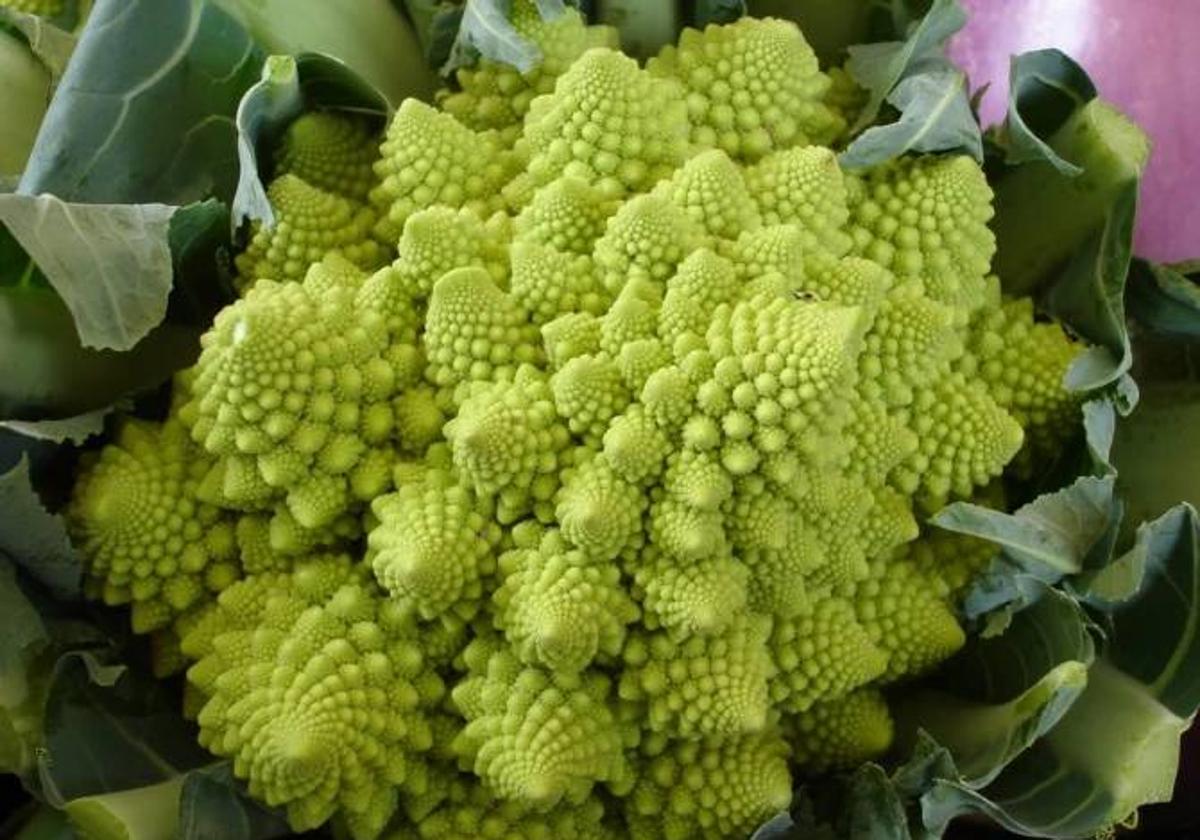 Col romanesco