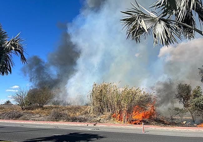 Incendio junto a la avenida Reino de Murcia, este viernes.