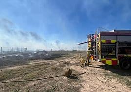 Trabajos de extinción del fuego junto a la avenida Reino de Murcia, este viernes.
