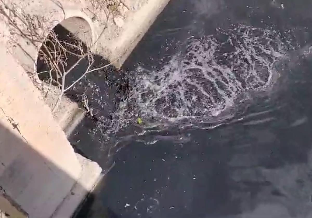 Vertido de agua negra en el azarbe de Giles, la semana pasada.