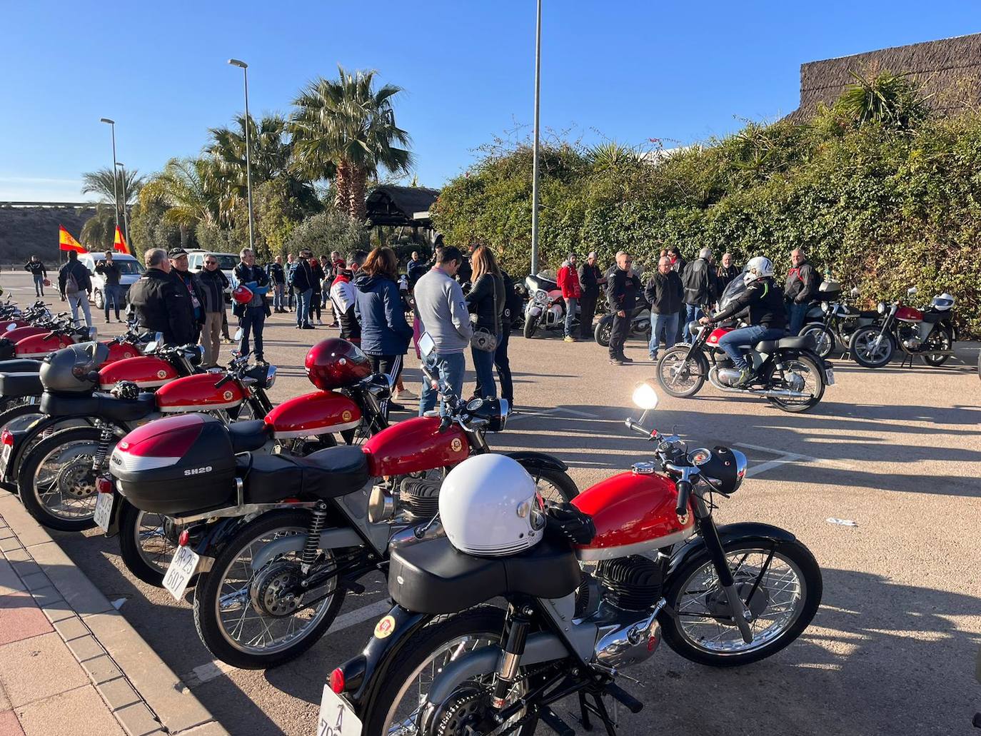 La Impalada Murciana de Totana, en imágenes