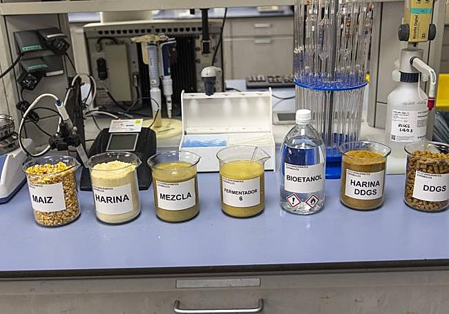 Probetas donde se muestran los procesos para conseguir el alimento para animales desde que sale del maíz, en el laboratorio de Vertex.