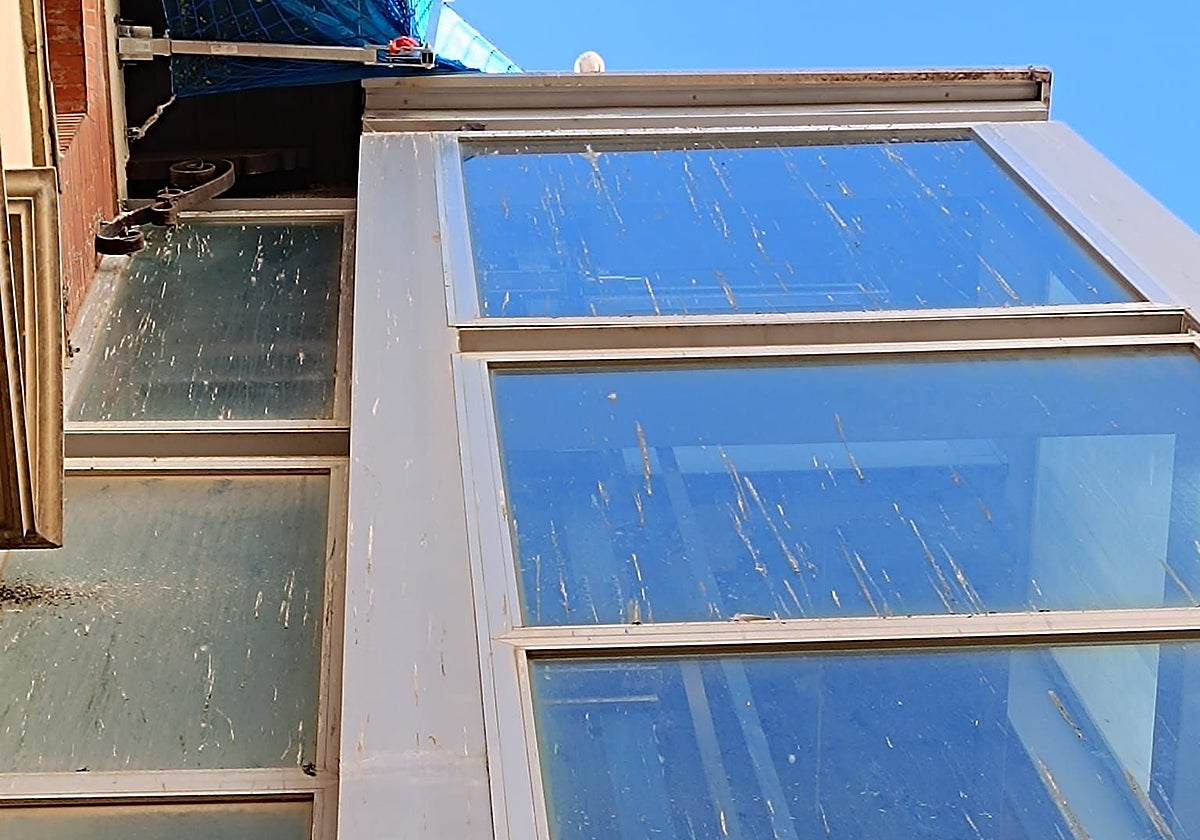 Excrementos de paloma en las cristaleras del edificio.
