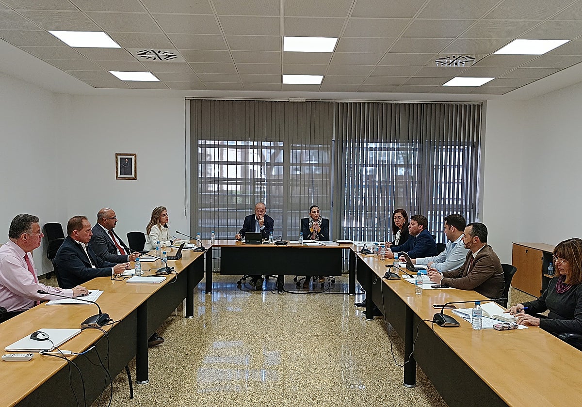 La consejera Sara Rubira en la reunión de la Comisión de Seguimiento de los Programas de Actuación de Zonas Vulnerables.